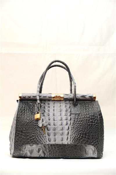 Чёрно-серый крокодил